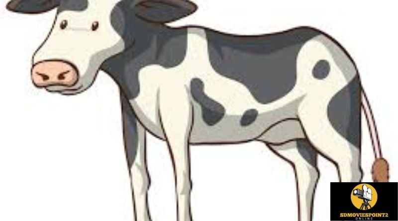 clipart:_n6r7x-sehk= cow post thumbnail image